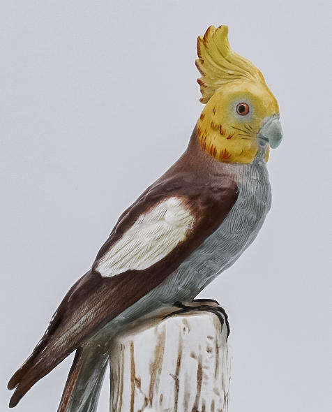 Vintage Dresden Porcelain Bird Figurine  Hand-Painted (Model 2500)