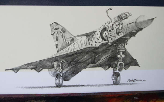'CHEETAH OF THE MIGHTY 2ND' REMARQUE Signed by Cobus Toerien - Colour Limited Edition Art Print