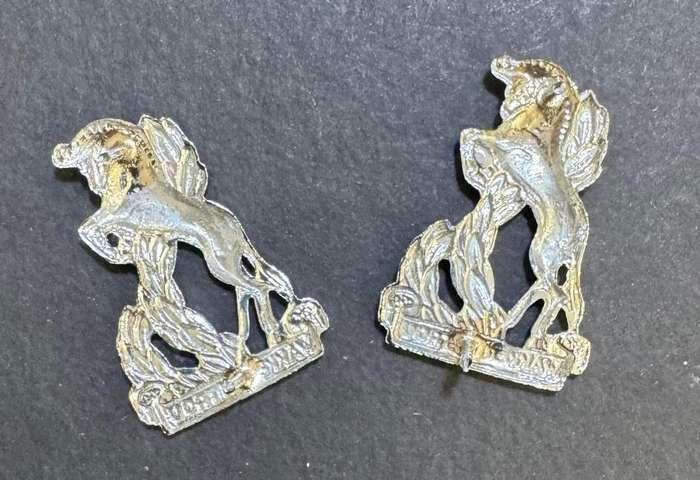 SADF - Regiment Bloemspruit Collar Badges