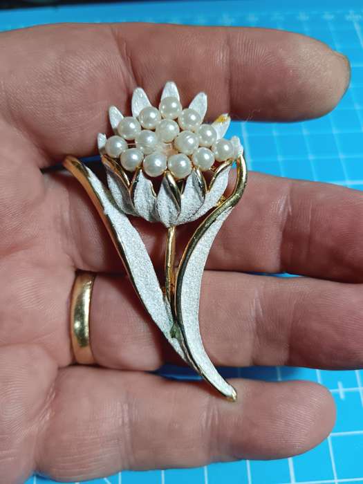 Costume Jewellery - Beautiful Flower Brooch