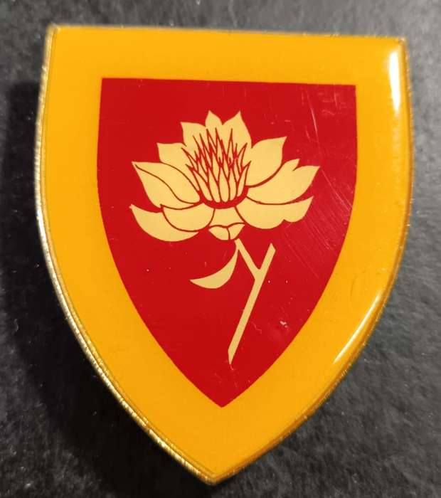 SADF - Womans College Shoulder Flash