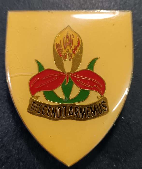 SADF - Military Academy Shoulder Flash