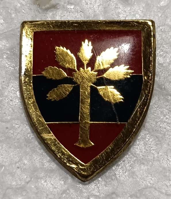 SADF - SWA Engineer Support Cravat Pin