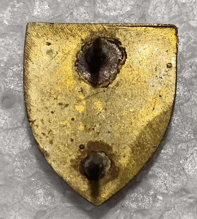 SADF - SWA Engineer Support Cravat Pin