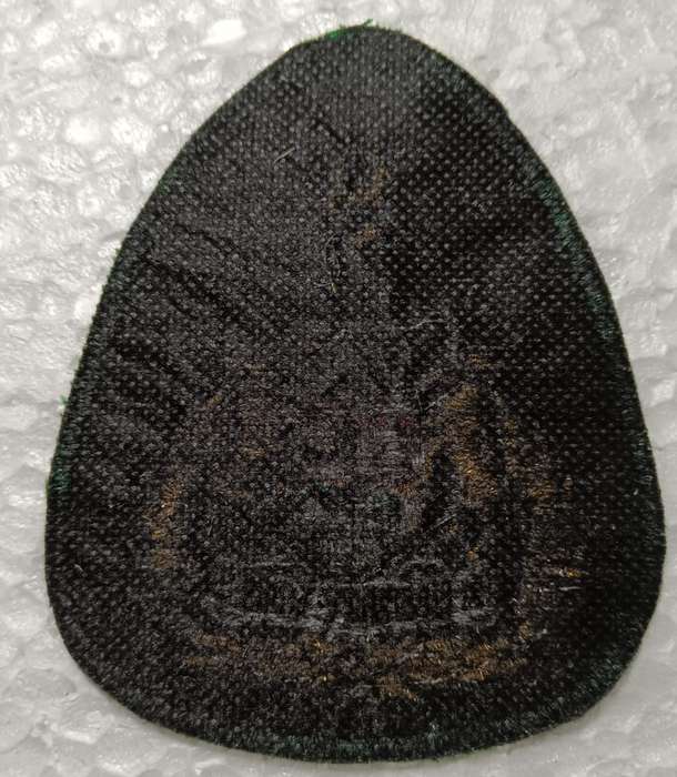SADF - 9 Division Sergeant Major Rank Badge