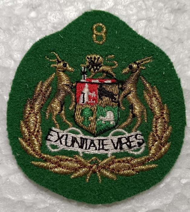 SADF - 8 Division Sergeant Major Rank Badge