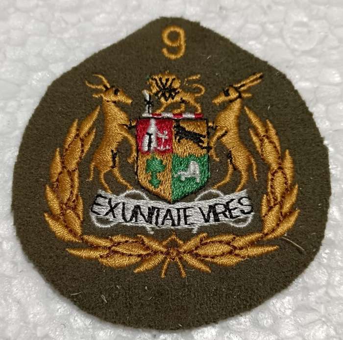 SADF - 9 Divison Seargant Major Rank Badge