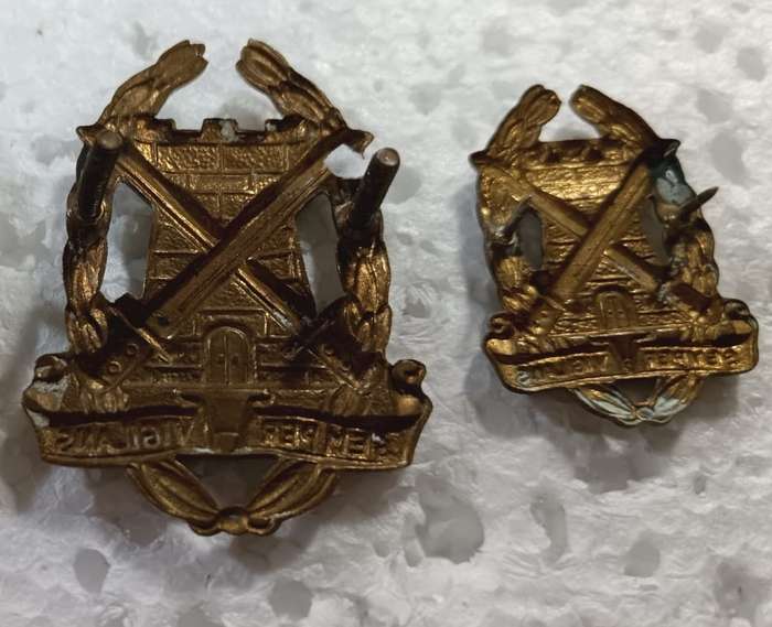 SADF - Special Services Cap Badge and Collar