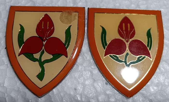 SADF - Military Academy Shoulder Flash Pair