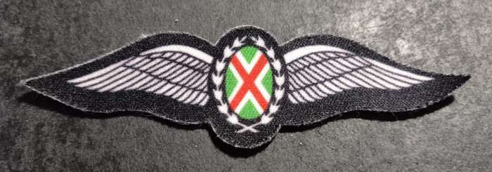 SADF - SAAF Commando Pilot Wing