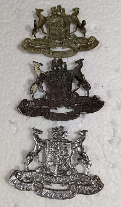 SAS/SAR Railways Cap Badge Lot