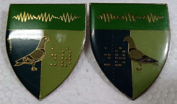 SADF - 2 Signal Unit Shoulder Flash Pair