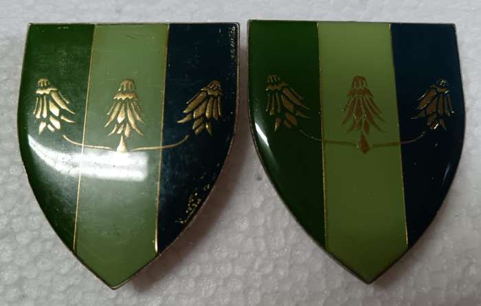 SADF - Far North Command Signals Shoulder Flash Pair