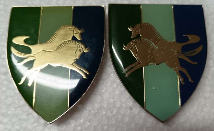 SADF - Natal Command Signals Shoulder Flash Pair