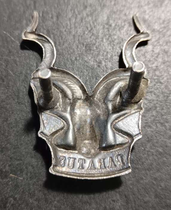SADF - SWATF Cap Badge