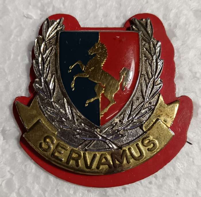 SADF - Technical Services Training Center Cap Badge
