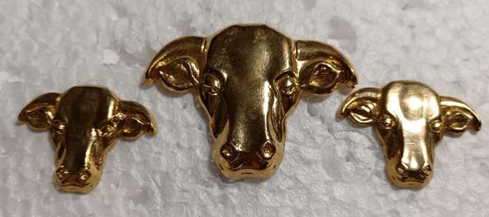 Homelands( Transkei ) Defence Forces Officers Cap and Collars