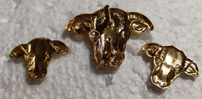 Homelands( Transkei ) Defence Forces Officers Cap and Collars