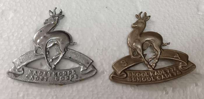 SADF - School Cadets Cap Badges