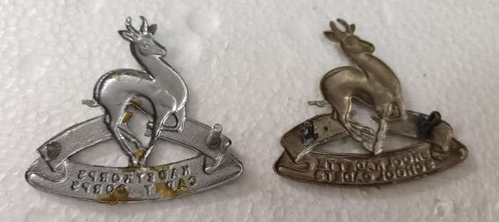 SADF - School Cadets Cap Badges