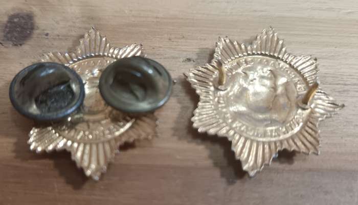 SAP - Collar Badge Pair