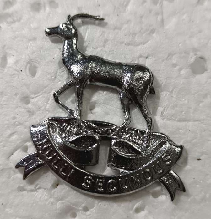 SADF - Regiment Pretoria Collar/Cap Badge