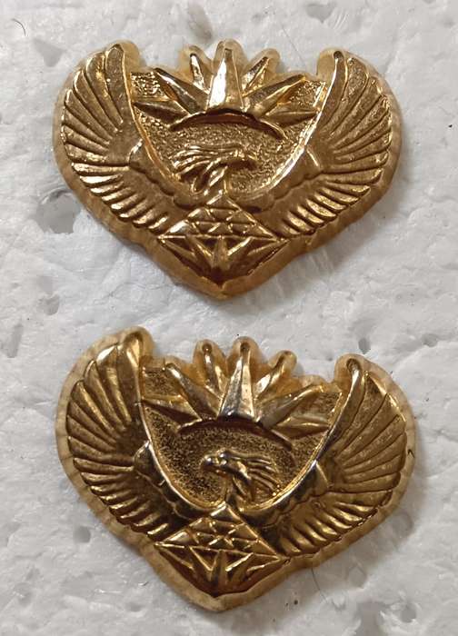 SANDF - Major Rank Badge Pair