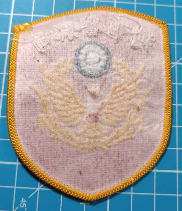 International - Patch Badge