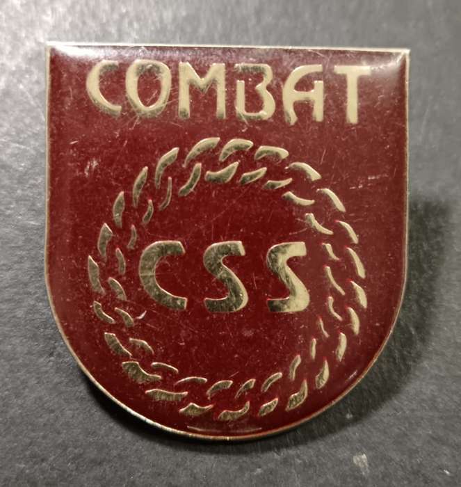 International - CSS Combat Cap Badge