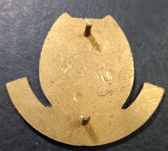 South Africa African Transkei Mounted Battalion Flash Badge