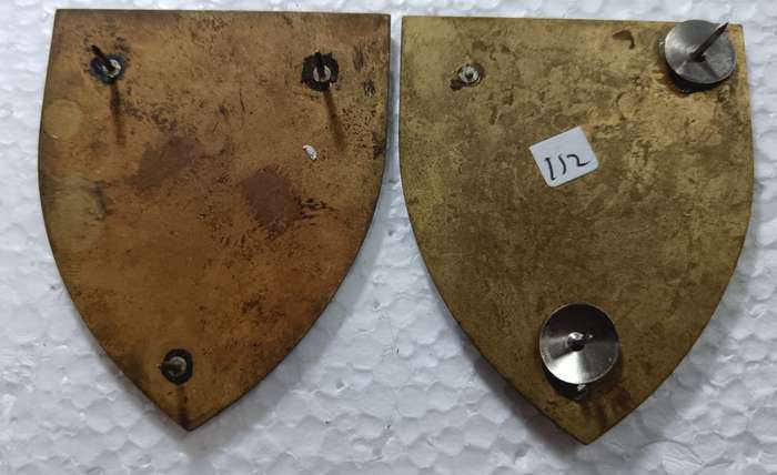 SADF - SWA 202 Battalion Shoulder Flash Pair