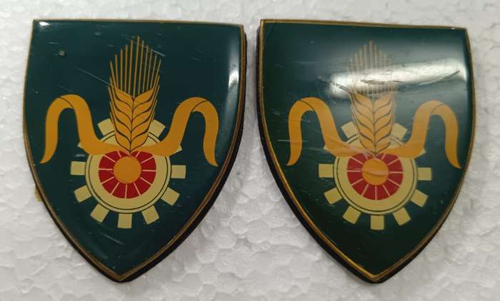 SADF - Quartermaster General Shoulder Flash Pair