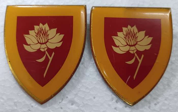 SADF - Womans College Shoulder Flash Pair