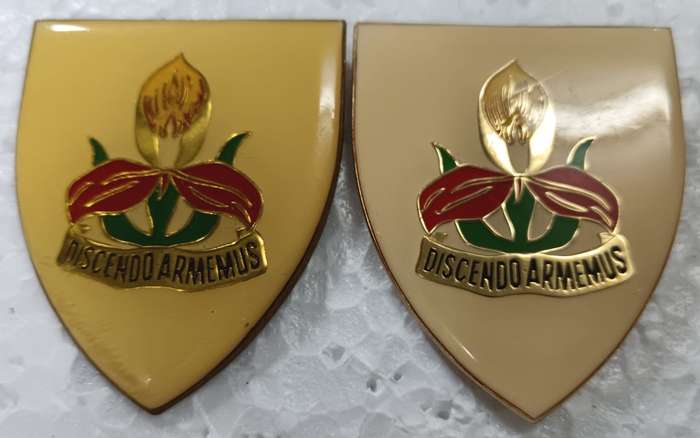 SADF - Military Academy Shoulder Flash Pair
