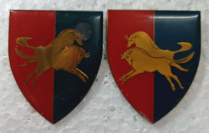 SADF - Natal Command Workshop Shoulder Flash Pair