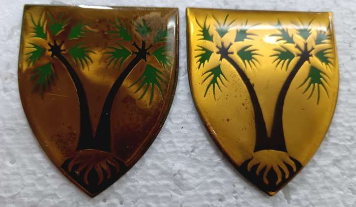 SADF - SWA Northern Logistics Command Grootfontein Shoulder Flash Pair