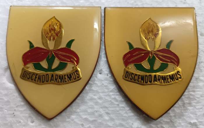 SADF - Military Academy Shoulder Flash Pair