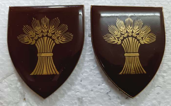 SADF - Bethlehem Commando Shoulder Flash Pair