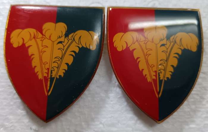 SADF - Southern Cape Workshop Shoulder Flash Pair