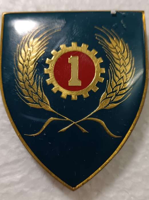 SADF - 1 Maintenance Shoulder Flash