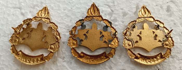 (Homelands) Lebowa Warrant Officer Ranks