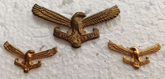 SADF - Air Force Cap and Collars
