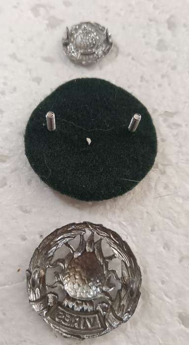 SADF - Regiment Boland Badge Lot