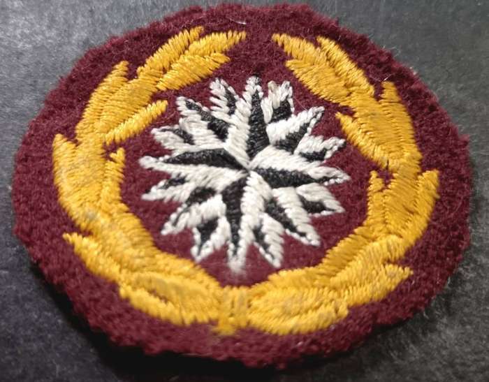 Special Forces Super Soldier - Mike West ( SAS and Recce ) Recce Beret Badge