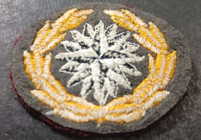 Special Forces Super Soldier - Mike West ( SAS and Recce ) Recce Beret Badge
