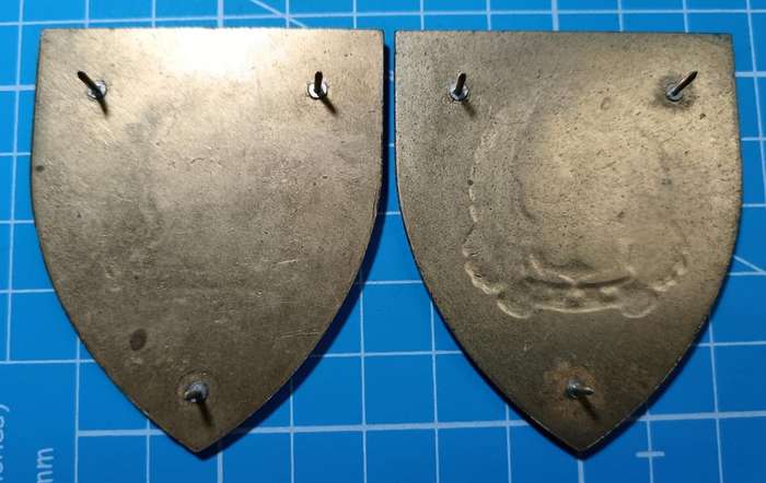 SADF - Army Gymnasium Shoulder Flash Pair