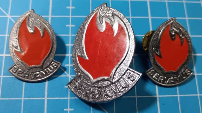 SADF - 113 Battalion Cap and Collars