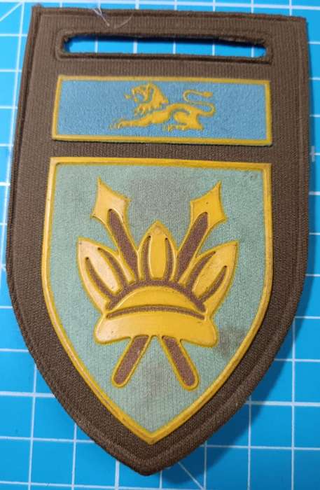 SADF - 111 Battalion Tupper Flash