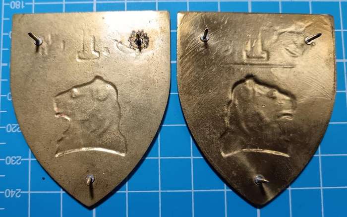 SADF - 1 Regiment De La Rey Shoulder Flash Pair