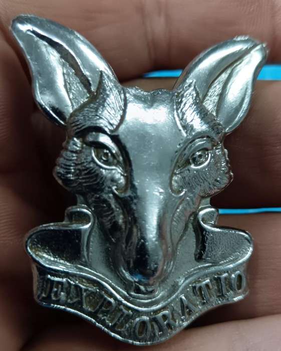 SADF - Intelligence Cap Badge